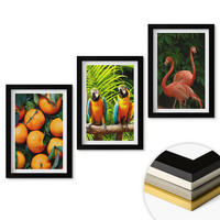 WANDBILDER 3er-Set - 20x30 cm Schwarzer Rahmen - Fruchtige Akzente in den Tropen - Schwarz, Kunststoff (20/30cm) - ArtPrintCave