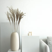 FEDERGRAS I Miscanthus - die zurückhaltende Deko - beige / 60 cm - Beige, Naturmaterialien (60cm) - Lykke & You