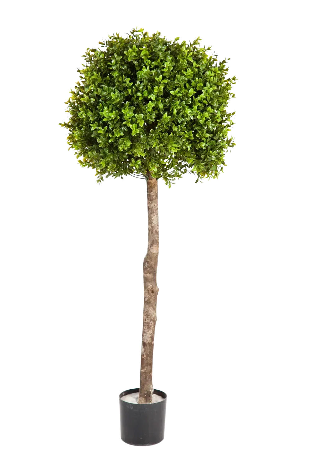 KÜNSTLICHER Buchsbaum - Rayan 105 cm - Grün, Kunststoff (105cm) - aplanta