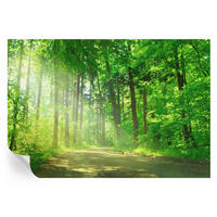 FOTOTAPETE 152x104 cm - Waldweg - Grün, Textil (152/104cm) - Wallfluent