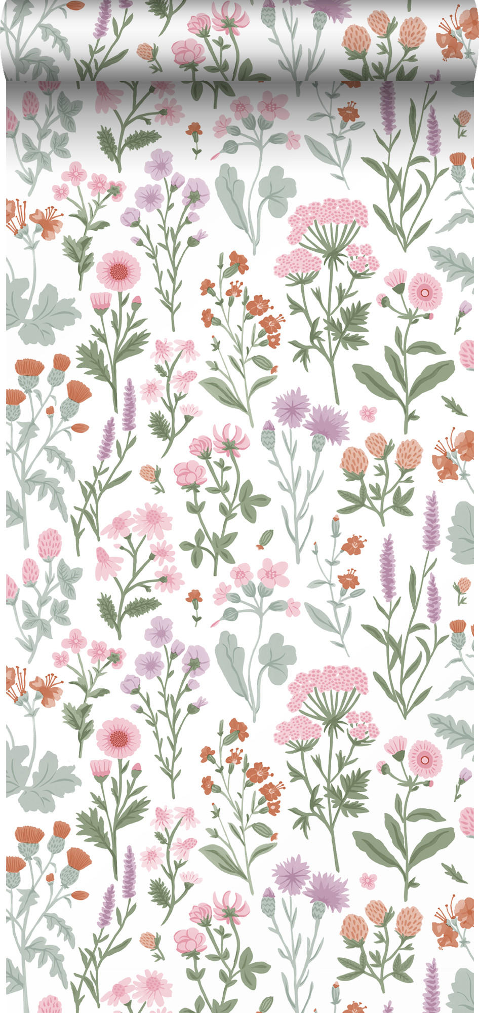TAPETE Feldblumen 50 x 900 cm - Weiß, Papier (50/900cm) - Sanders & Sanders