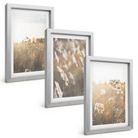 BILDER SET 3er Set - 20x30 cm Silberner Rahmen - Landschaftsgrasblumen Wärme - Silberfarben, Kunststoff (20/30cm) - TULUP