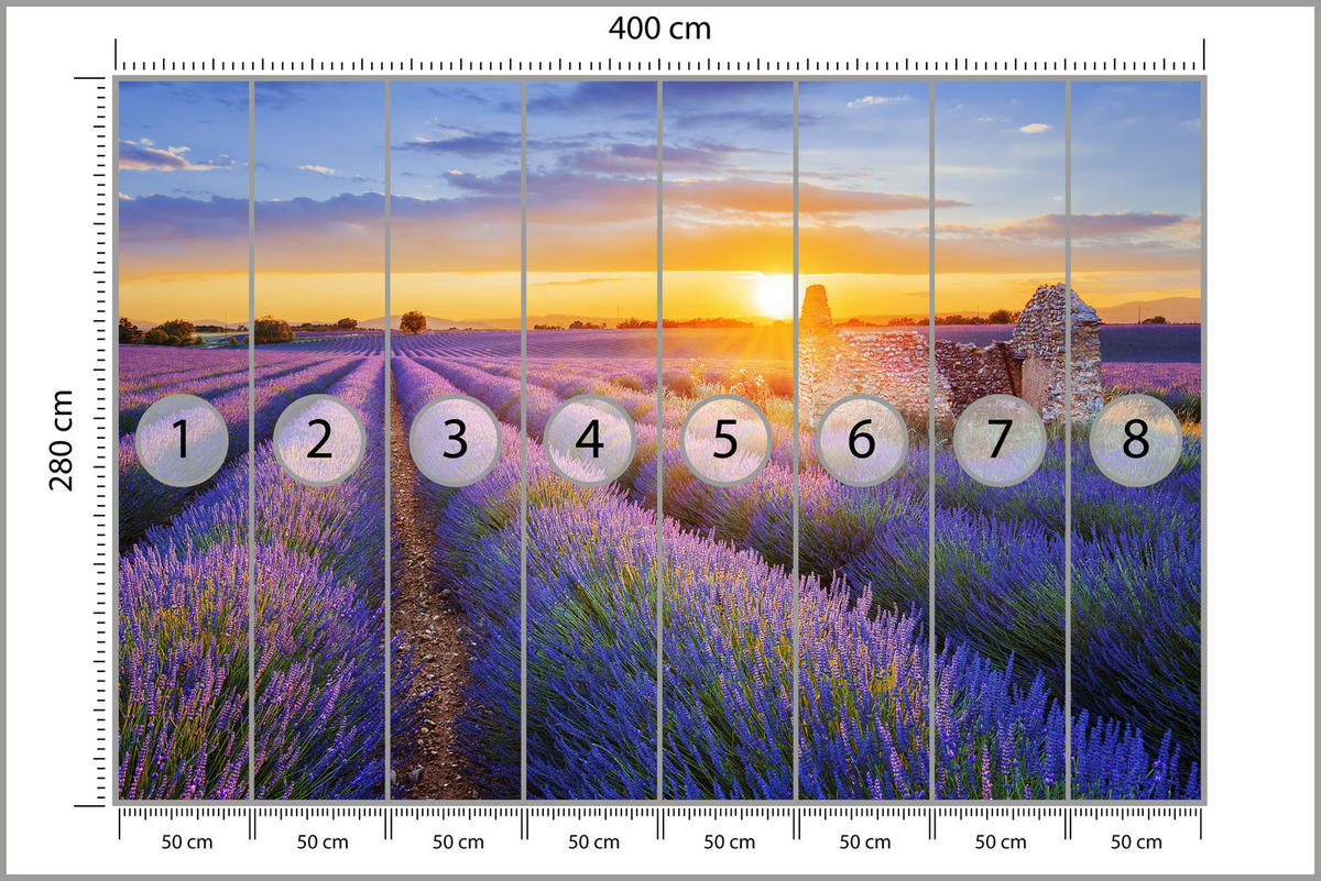 FOTOTAPETE für Wohnzimmer Lavendelfeld Sonnenuntergang Lila 400x280 - Violett/Rosa, Papier (400/280cm) - Muralo