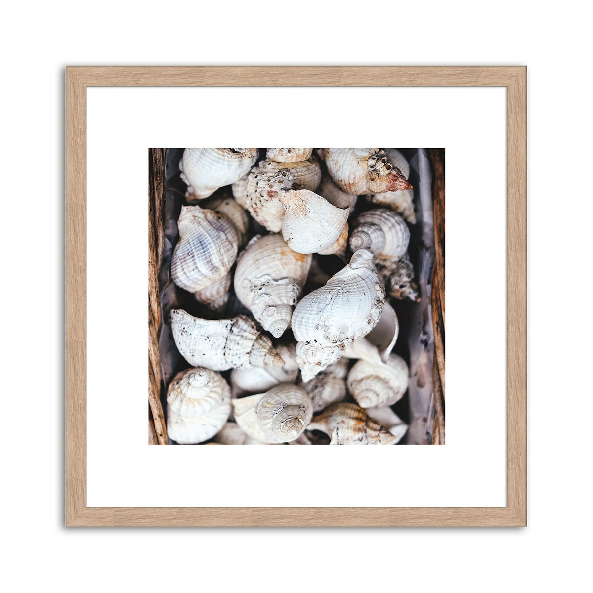 BILDER-SET mit Rahmen 4 x 30x30 cm Strand Meer beige natur - Beige, Holz (30/30cm) - artissimo