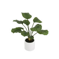 KUNSTPFLANZE Künstliche Calathea - Maite 63 cm - Grün, Kunststoff (63cm) - aplanta