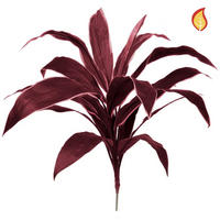 KUNSTPFLANZE Künstliche Cordyline - Andrea 62 cm - Rot, Kunststoff (62cm) - aplanta