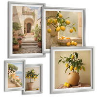 BILDER SET 5er Set - 50x50 cm & 20x30 cm & 40x60 cm Silberner Rahmen - Frische, farbenfrohe Zitrusfrüchte - Silberfarben, Kunststoff (40/60cm) - TULUP