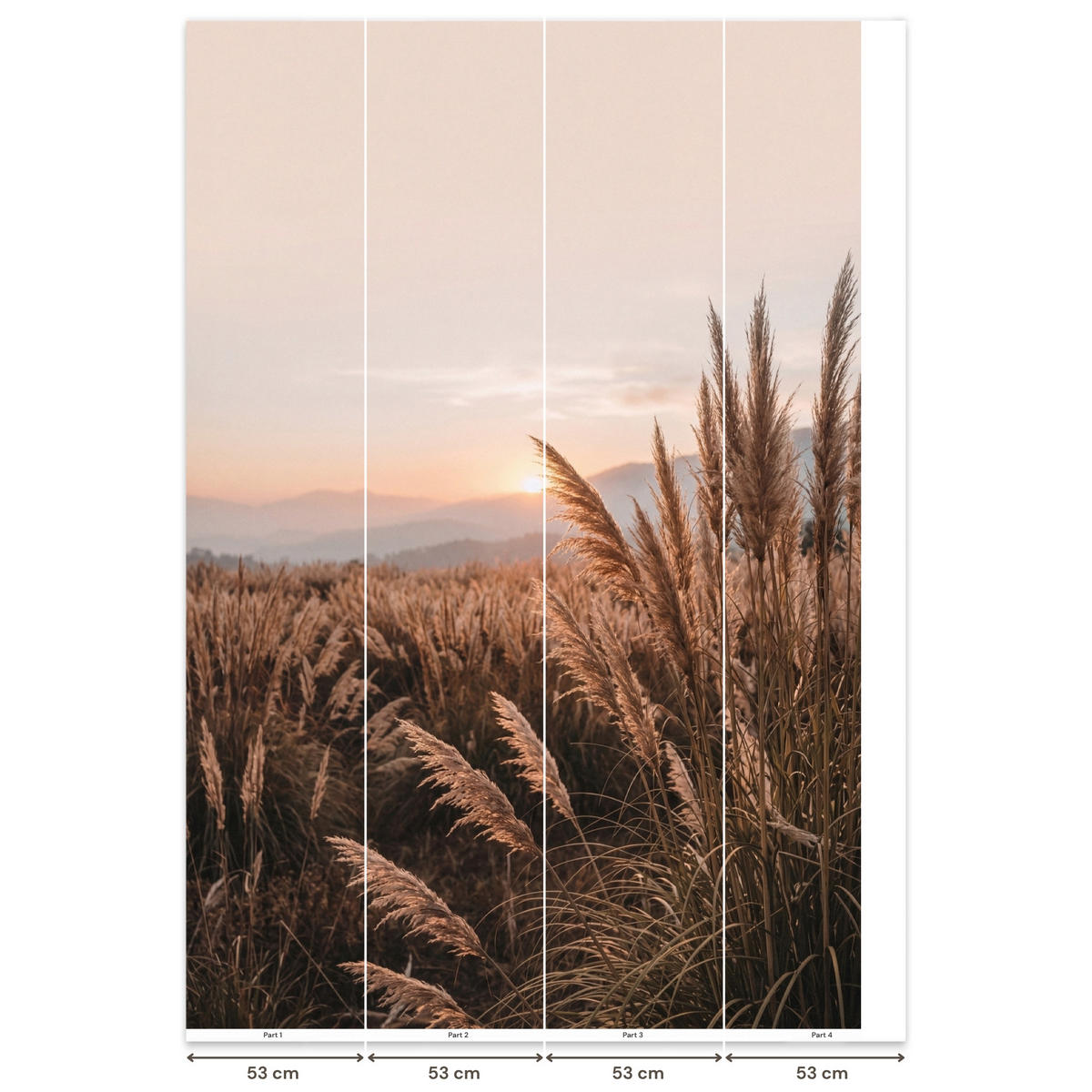 TAPETE - Gras - Feld - Sonne - Natur - 200x300 cm - Sandfarben, Papier (200/300cm) - OnlyWow