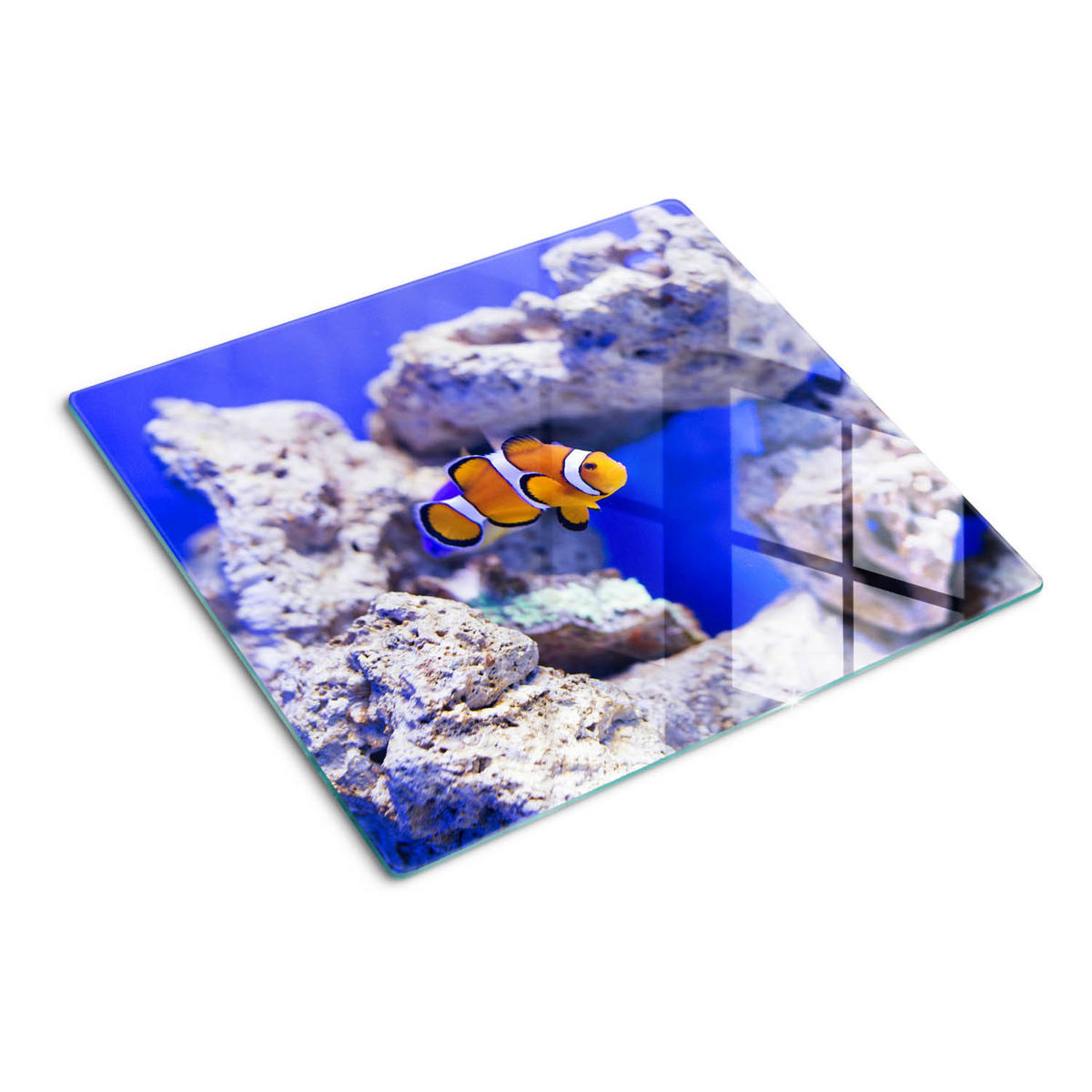 GLASPLATTE 60x52 cm Nemos Korallenriff - Orange, Glas (60/52cm) - TULUP