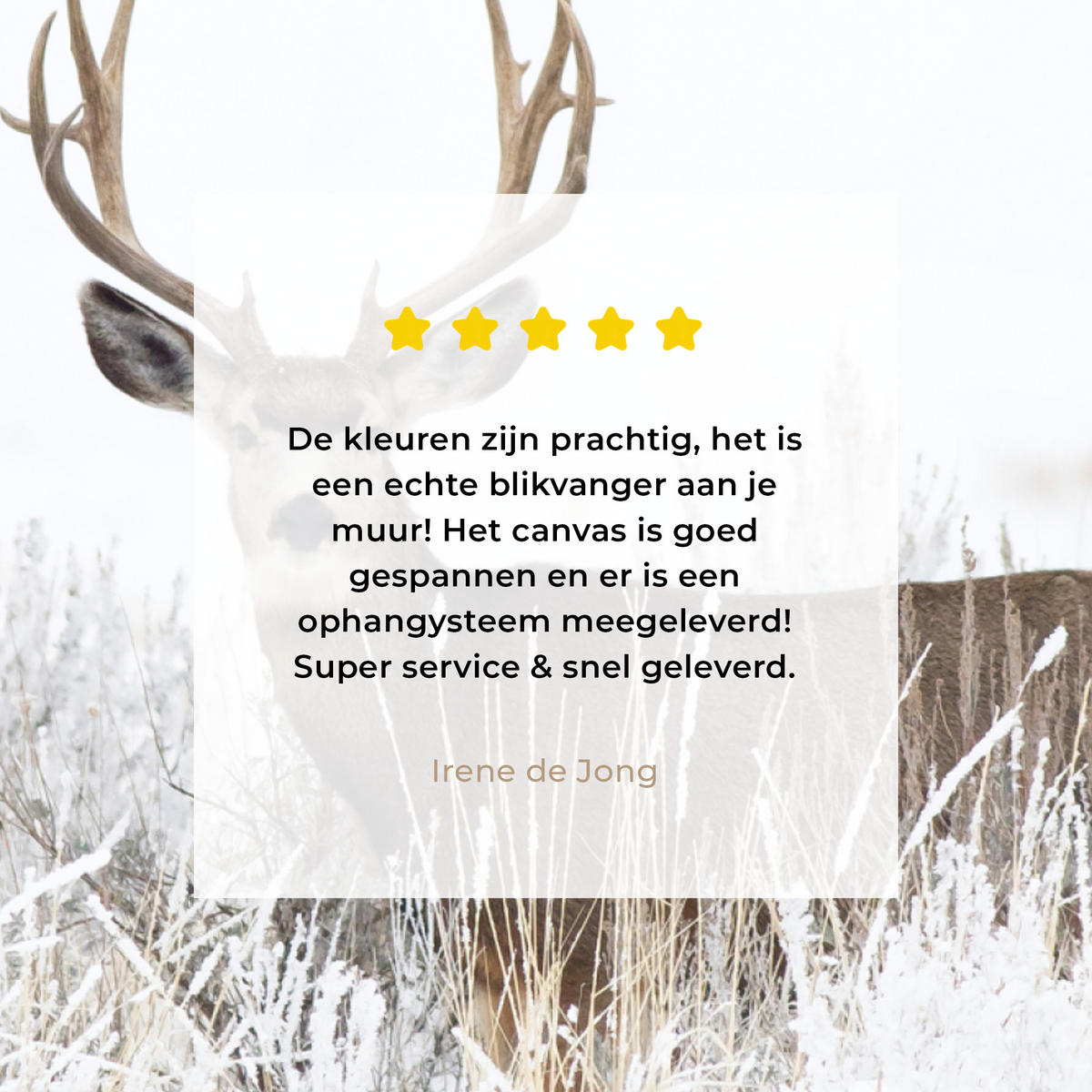 LEINWANDBILD Hirsche - Winter - Schnee - Tiere - Jahreszeiten - Weiß Deko Groß 90x90 cm - Hellbraun, Textil (90/90cm) - MuchoWow