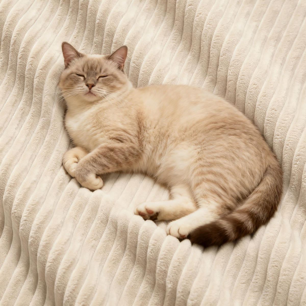 MODULSOFA boneless mit Tiefsitz 74 cm Cord Beige 3-Sitzer - Beige, Kunststoff (104/69/293cm) - Meubliv
