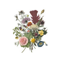 FOTOTAPETE Blumenstrauß 186 x 279 cm - Multicolor, Papier (186/279cm) - ESTAhome