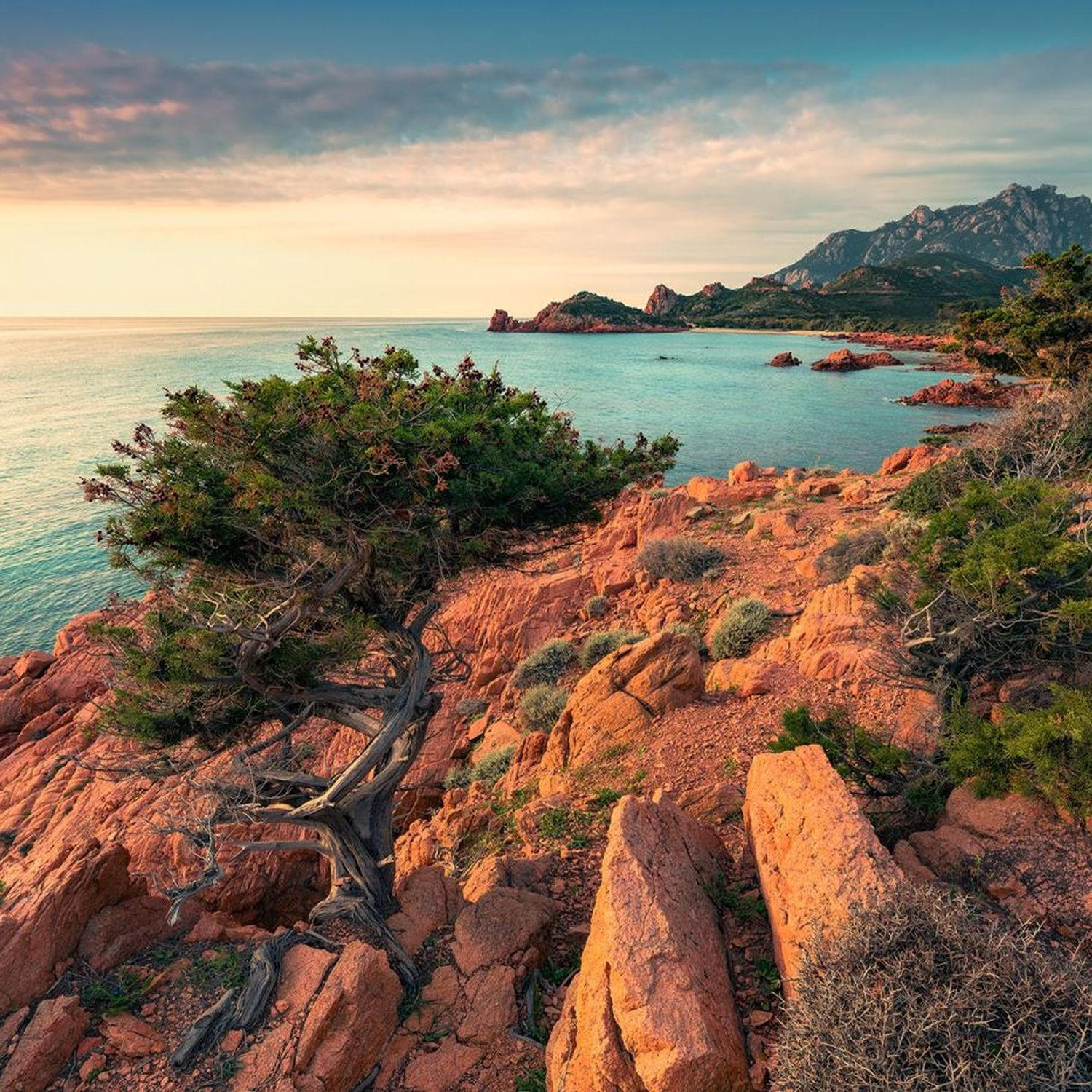 FOTOTAPETE Landschaft 450 x 280 cm - Multicolor, Papier (450/280cm) - Sanders & Sanders
