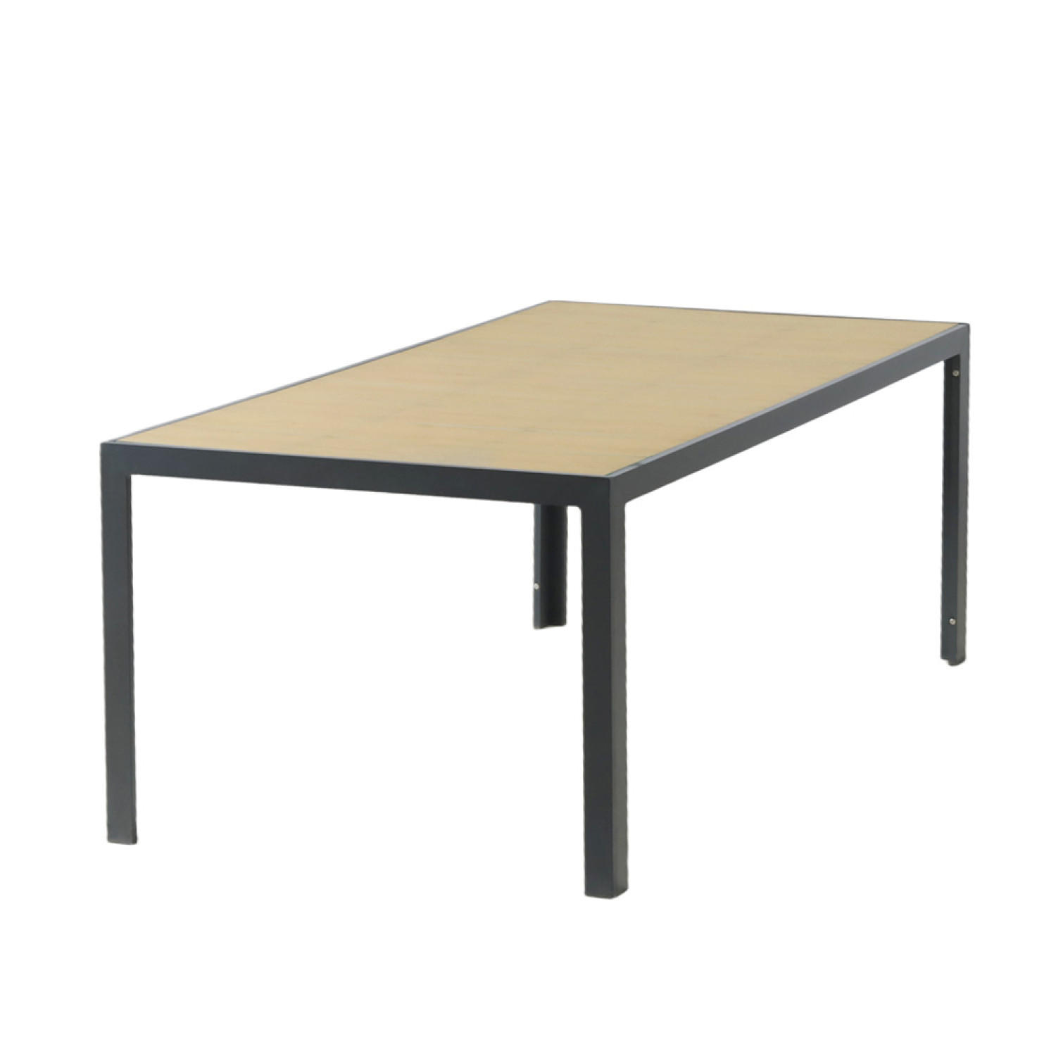 GARTENTISCH Lagos grau 10-Sitzer aus Aluminium - Grau, Metall (205/100/75cm) - Concept Usine