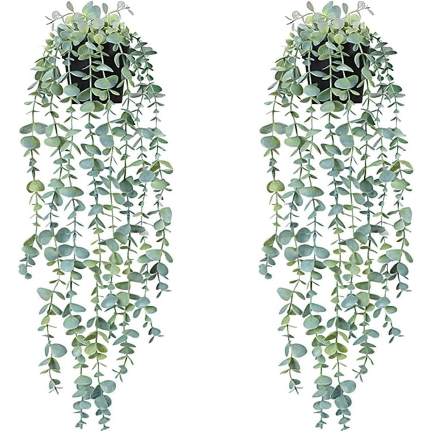 HÄNGEPFLANZE Künstlich 2er Set Eukalyptus 56 cm - Grün, Kunststoff (56cm)