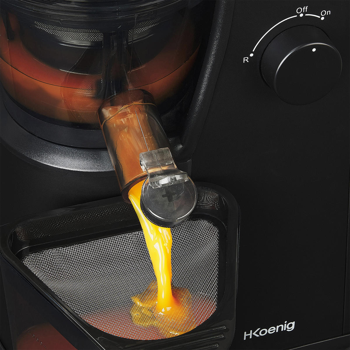 ENTSAFTER GSX24 Schwarz, Obst- und Gemüsesaft-Extraktor, Saftpresse mit Vitamin + - Silberfarben, Metall (21.5/57/24cm) - HKoenig