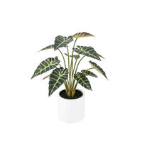 KUNSTPFLANZE Künstliche Alocasia - Tamika 70 cm - Grün, Kunststoff (68cm) - aplanta