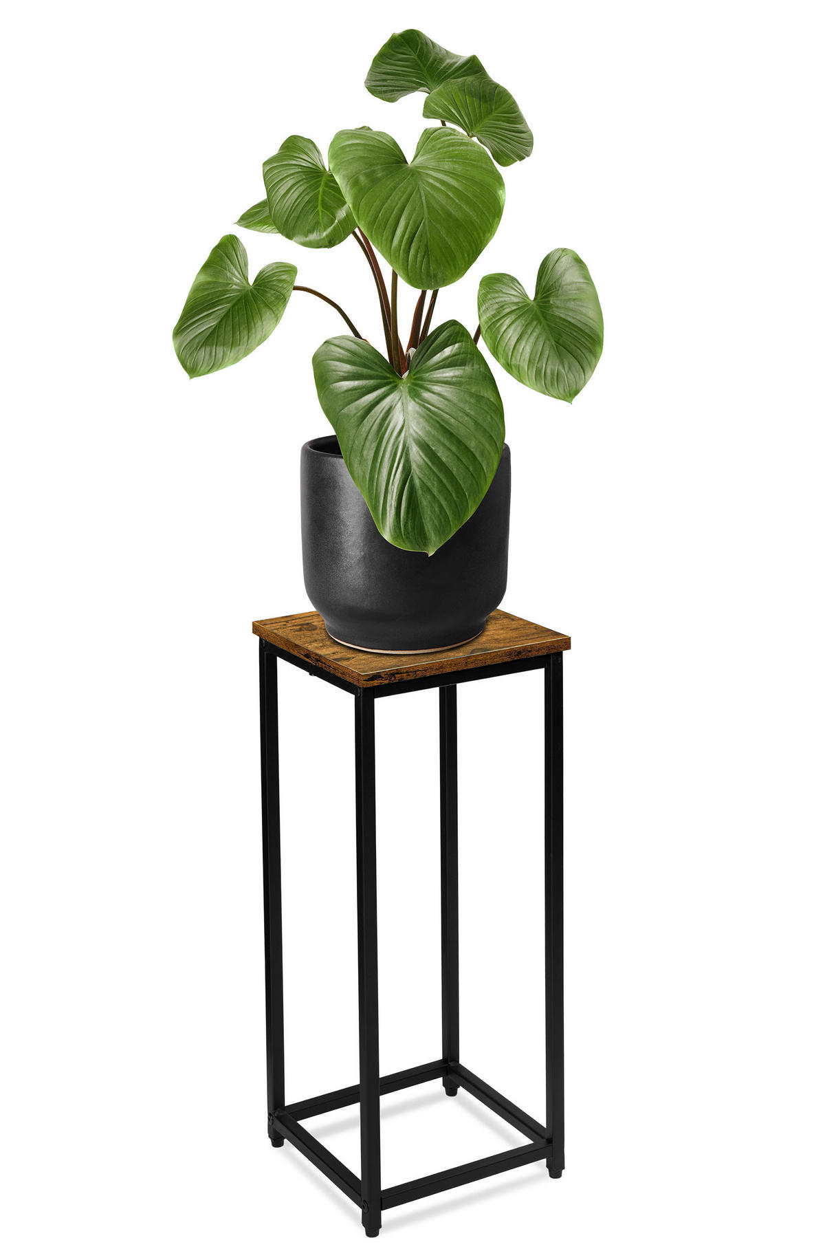 BLUMENSTÄNDER - Dunkelbraun, Holzwerkstoff/Metall (24/24/63cm)