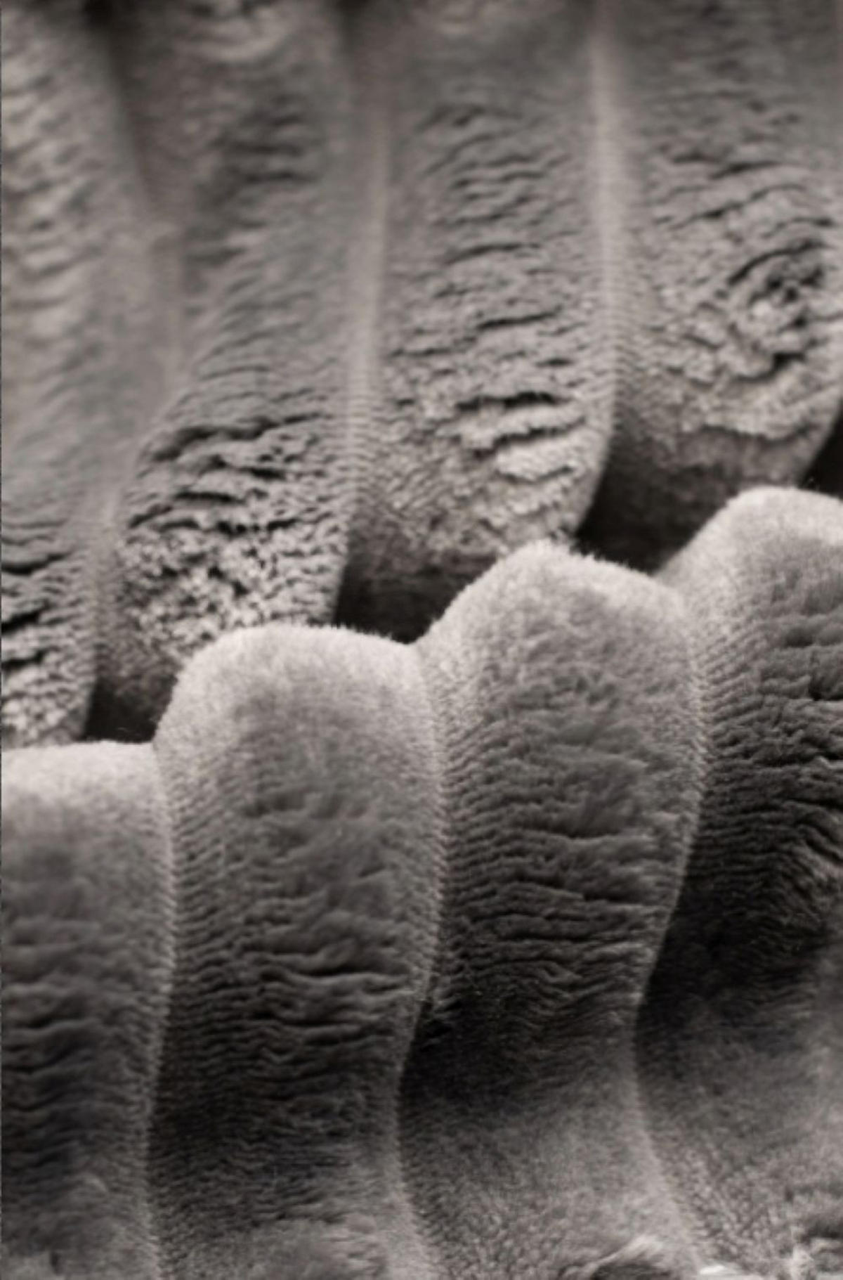 ECKSCHLAFSOFA Bohoo-Ecksofa mit Schlaffunktion stoff Velo Dunkelgrau Rechts - Dunkelgrau, Holz/Textil (248/140cm) - Kaiser Möbel