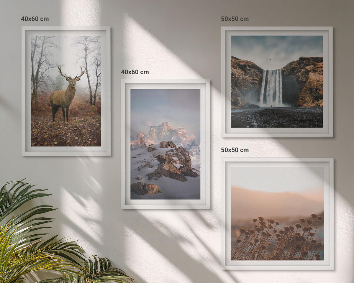 BILDER SET 4er Set - 50x50 cm & 40x60 cm Weißer Rahmen - Wilde Landschaften, Berge, Hirsche - Weiß, Kunststoff (50/50cm) - TULUP