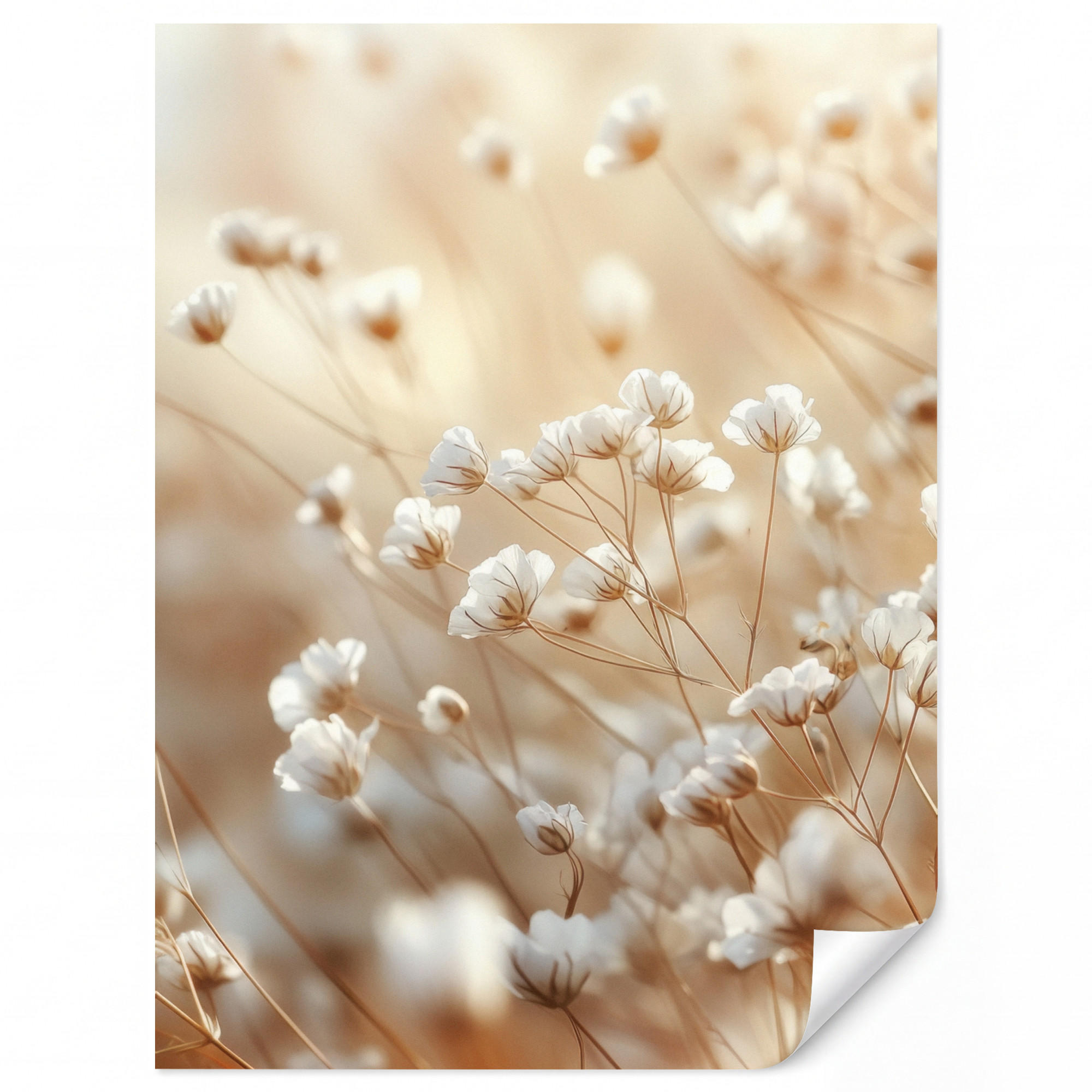OnlyWow Tapete Creme 180x240 cm