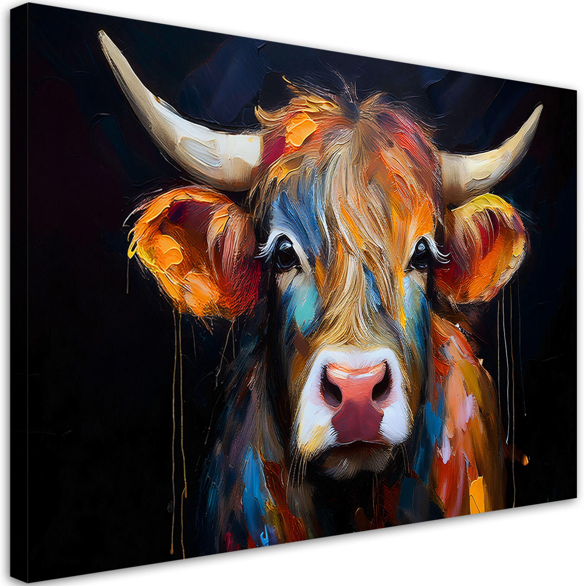 WANDBILD bunte schottische kuh - Multicolor, Textil (60/40cm) - Feeby