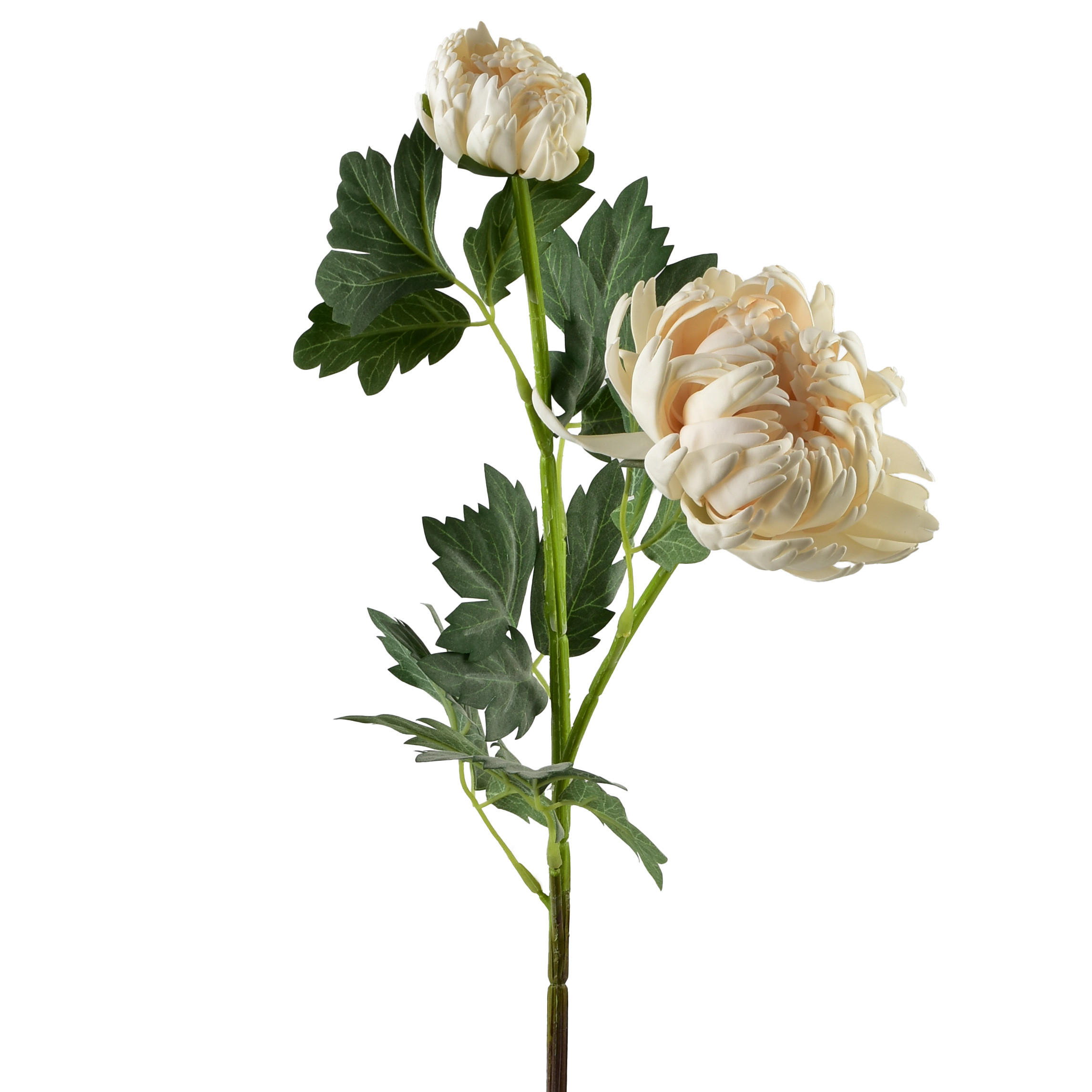 KÜNSTLICHER BLUMENZWEIG Viridis 2-tlg 69cm - Weiß, Kunststoff (69cm) - Mondex