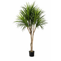 KUNSTBAUM Künstliche Dracaena – Elianor 180 cm - Grün, Kunststoff (180cm) - aplanta