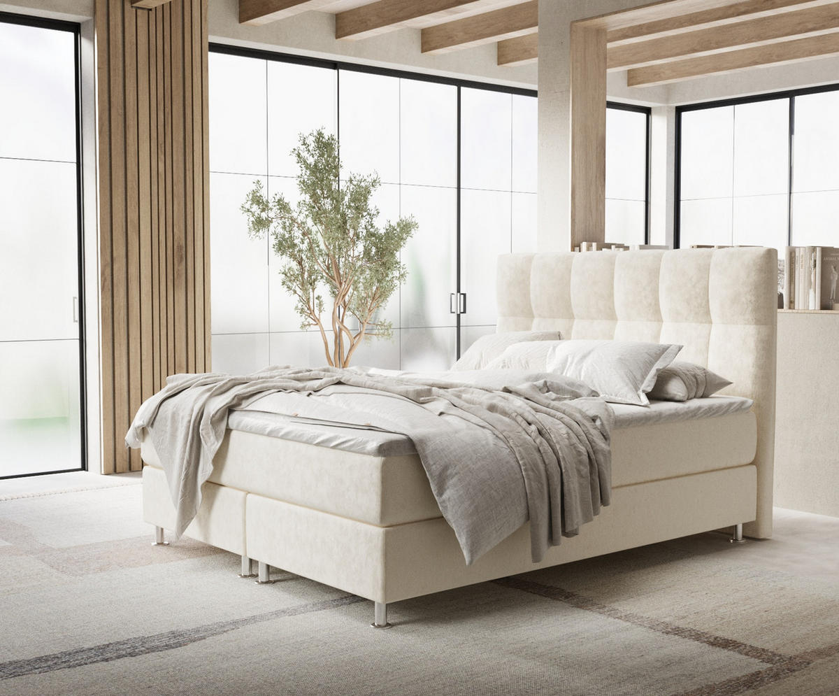 BOXSPRINGBETT Elisio Creme 160/200 cm mit Latex-Topper - Silberfarben/Creme, Holz/Holzwerkstoff (160/200cm) - Maison de Reve