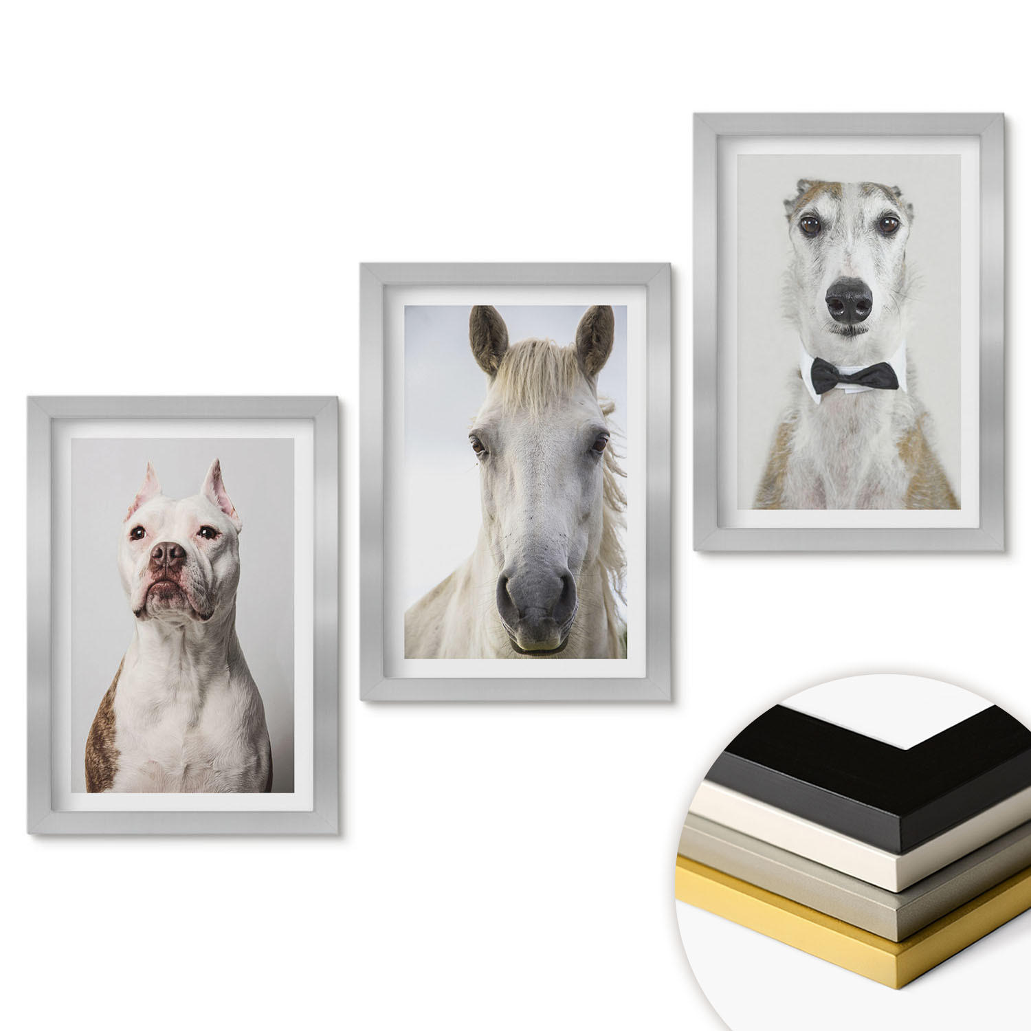 WANDBILDER 3er Set - 20x30 cm Silberner Rahmen - Elegante Porträts von Hunden und Pferden - Silberfarben, Kunststoff (20/30cm) - ArtPrintCave