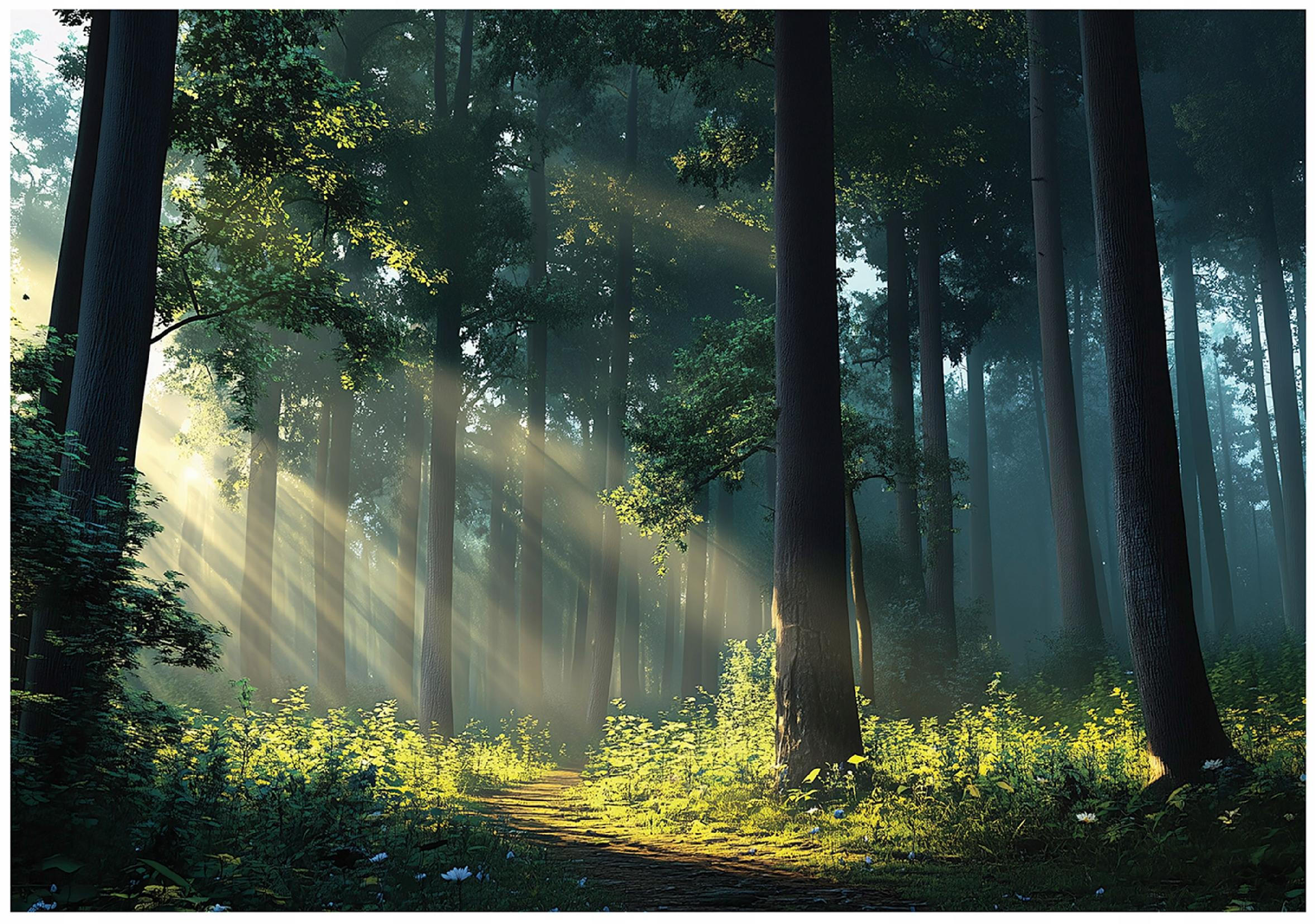 FOTOTAPETE Wald Sonne Natur Wohnzimmer Vlies Tapete 400x280 - Multicolor, Papier (400/280cm) - Wallarena