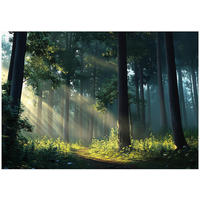 FOTOTAPETE Wald Sonne Natur Wohnzimmer Vlies Tapete 400x280 - Multicolor, Papier (400/280cm) - Wallarena