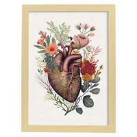 POSTER Anatomie Herz A3 Rahmen Aus Hellem Holz - Beige, Papier (29.7/5/42cm) - Nacnic
