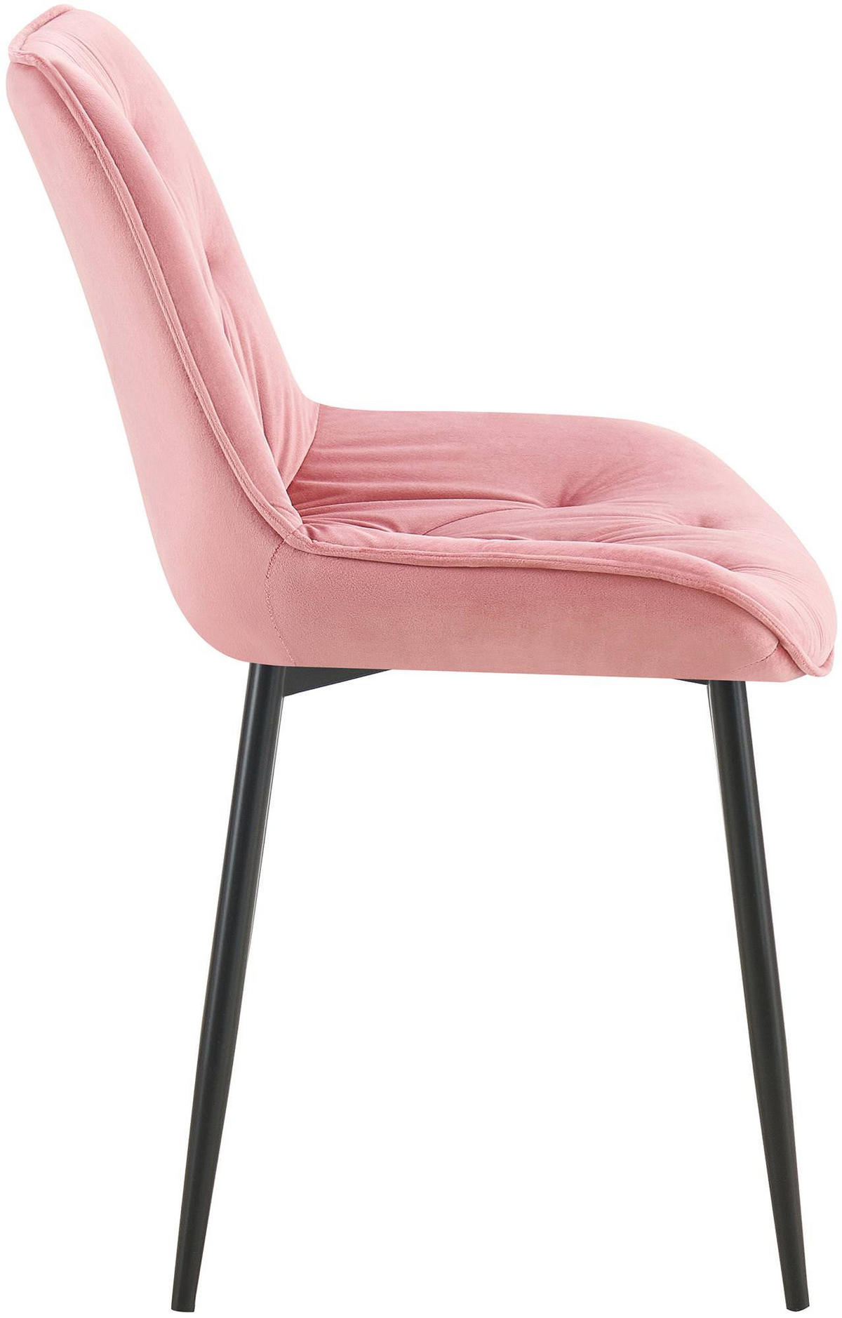 STUHL Samt rosa - Schwarz/Rosa, Textil/Metall (52/84/59cm) - CLP