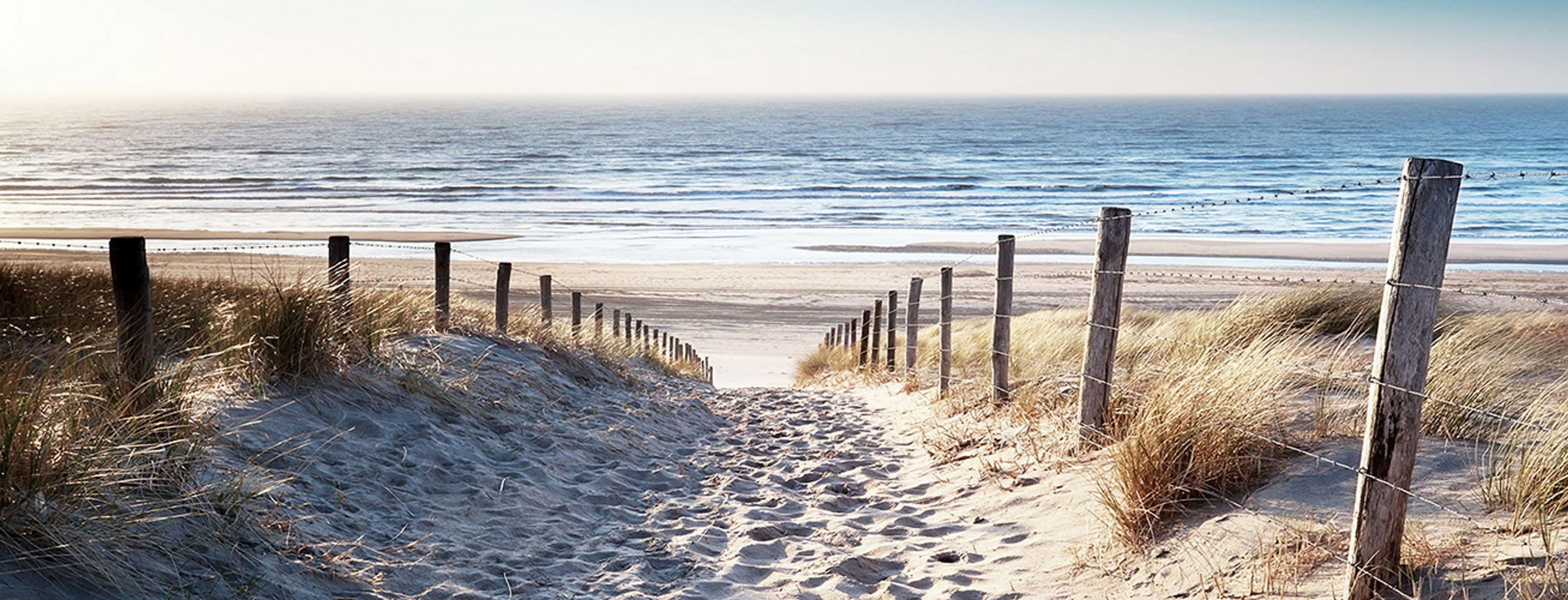 GLASBILD 80x30 cm Weg zum Meer - Gelb, Glas (80/30cm) - artissimo