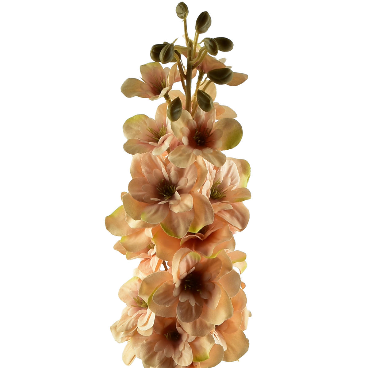 UMĚLÁ OSTROŽKA Viridis - béžová, plast (85cm) - Mondex