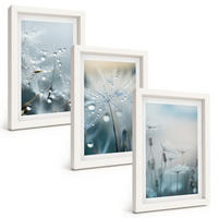 BILDER SET 3er Set - 20x30 cm Weißer Rahmen - Tautropfen auf Löwenzahn - Weiß, Kunststoff (20/30cm) - TULUP