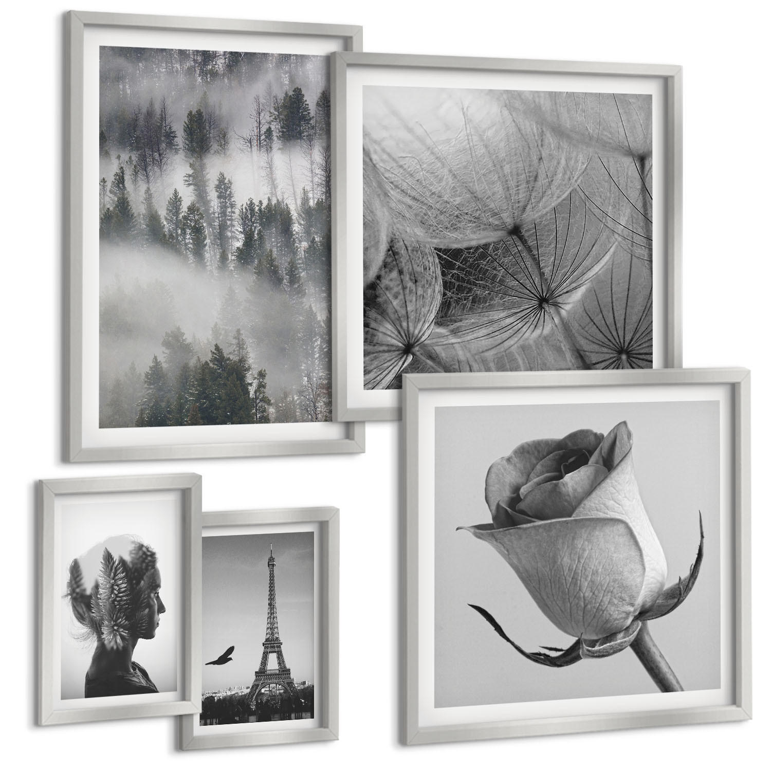 BILDER SET 5er Set - 50x50 cm & 20x30 cm & 40x60 cm Silberner Rahmen - Zitrusbäume in einem sonnigen Garten - Silberfarben, Kunststoff (40/60cm) - TULUP