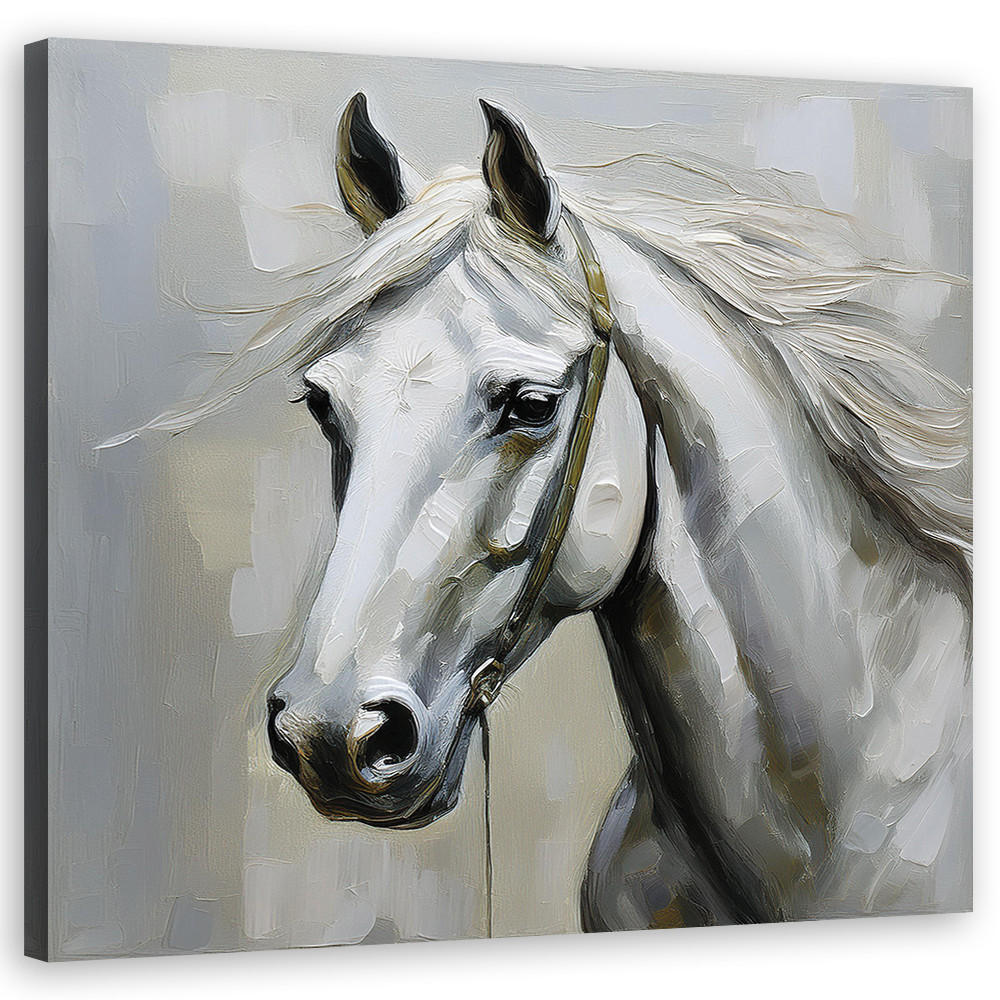 WANDBILD weißes pferd tiere - Weiß, Textil (50/50cm) - Feeby