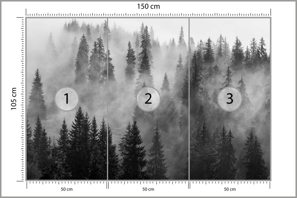 FOTOTAPETA Čierno-biely Les V Hmle Príroda 150 x 105 cm - čierna/sivá, papier (150/105cm) - Muralo