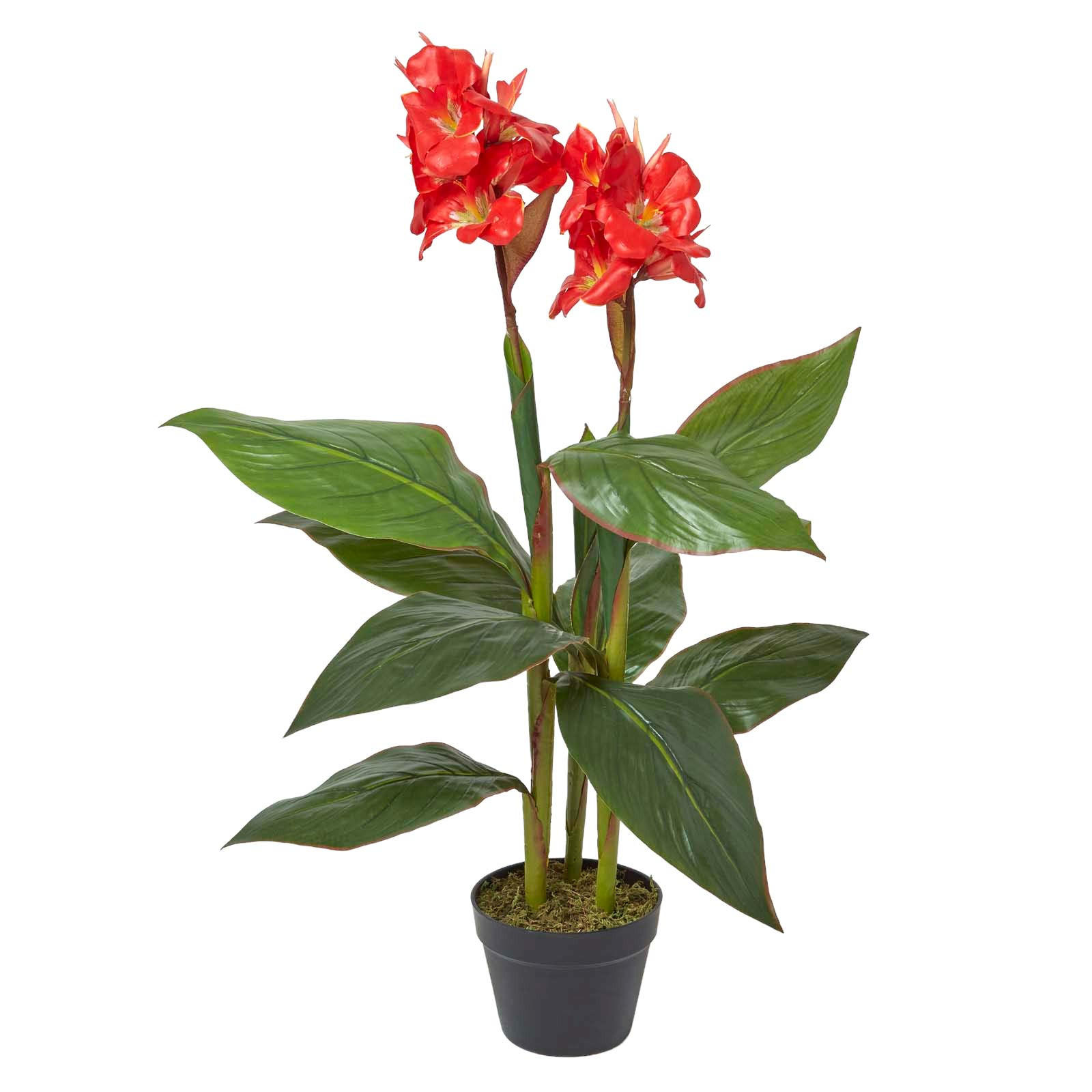Homescapes Kunstblume Rot 90 cm