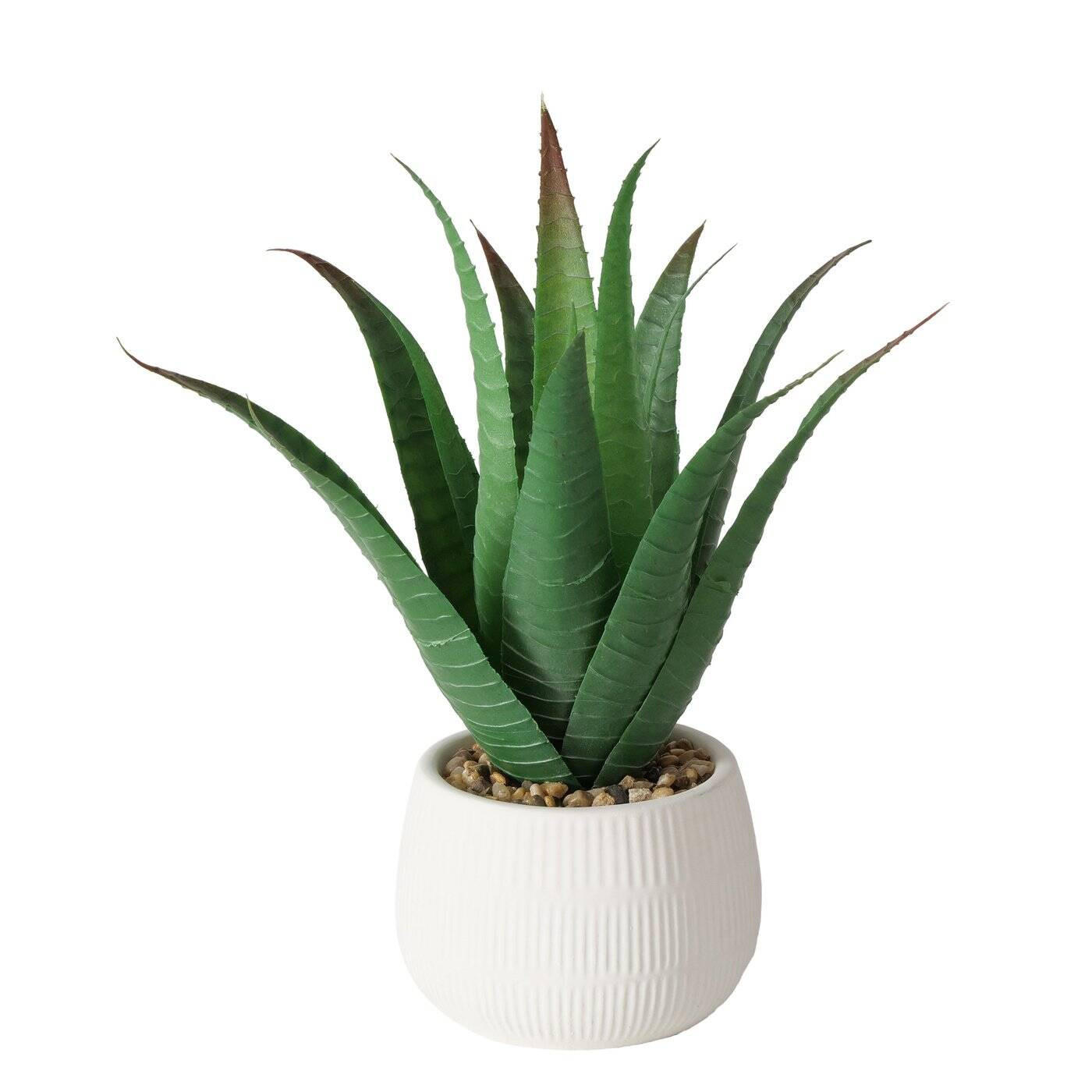 KÜNSTLICHE ALOE-PFLANZE Mondrago 29 cm - Dunkelgrün, Kunststoff (29cm) - Boltze Home