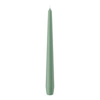 SPITZKERZEN (konische Kerzen) Reseda 250 x Ø 25 mm, 12 Stück - Eukalyptusholzfarben, Paraffin (2.5/25/25cm) - Wiedemann Kerzen