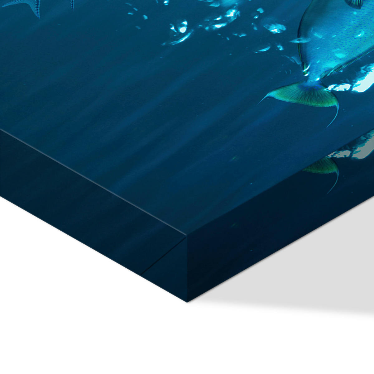 LEINWANDBILD Ozean 5-tlg. 100x50 cm - Multicolor, Holz (100/50cm) - LUMASOUL