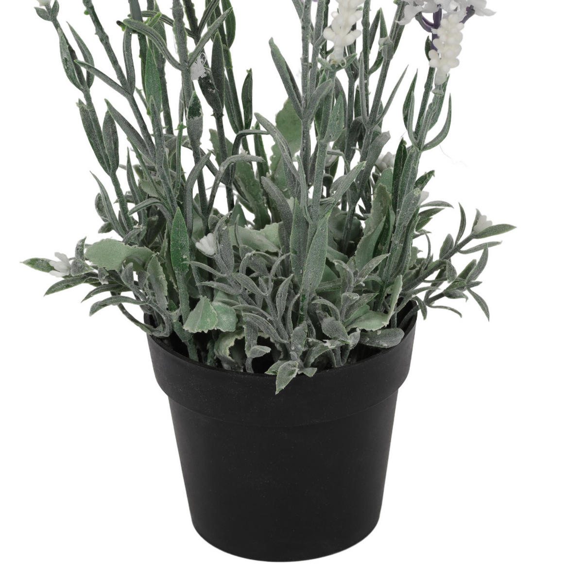 LAVENDEL im Topf 15/15/40 cm - Multicolor, Kunststoff (40cm) - Home Styling Collection