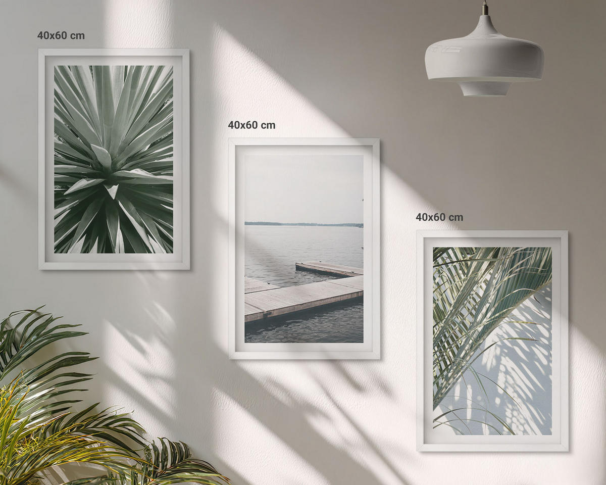 WANDBILDER 3er-Set - 40x60 cm Weißer Rahmen - Palmenblätter-Holzbrücke - Weiß, Kunststoff (40/60cm) - ArtPrintCave