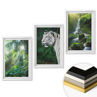 WANDBILDER 3er-Set - 40x60 cm Weißer Rahmen - Dschungeltigerwasserfall - Weiß, Kunststoff (40/60cm) - ArtPrintCave