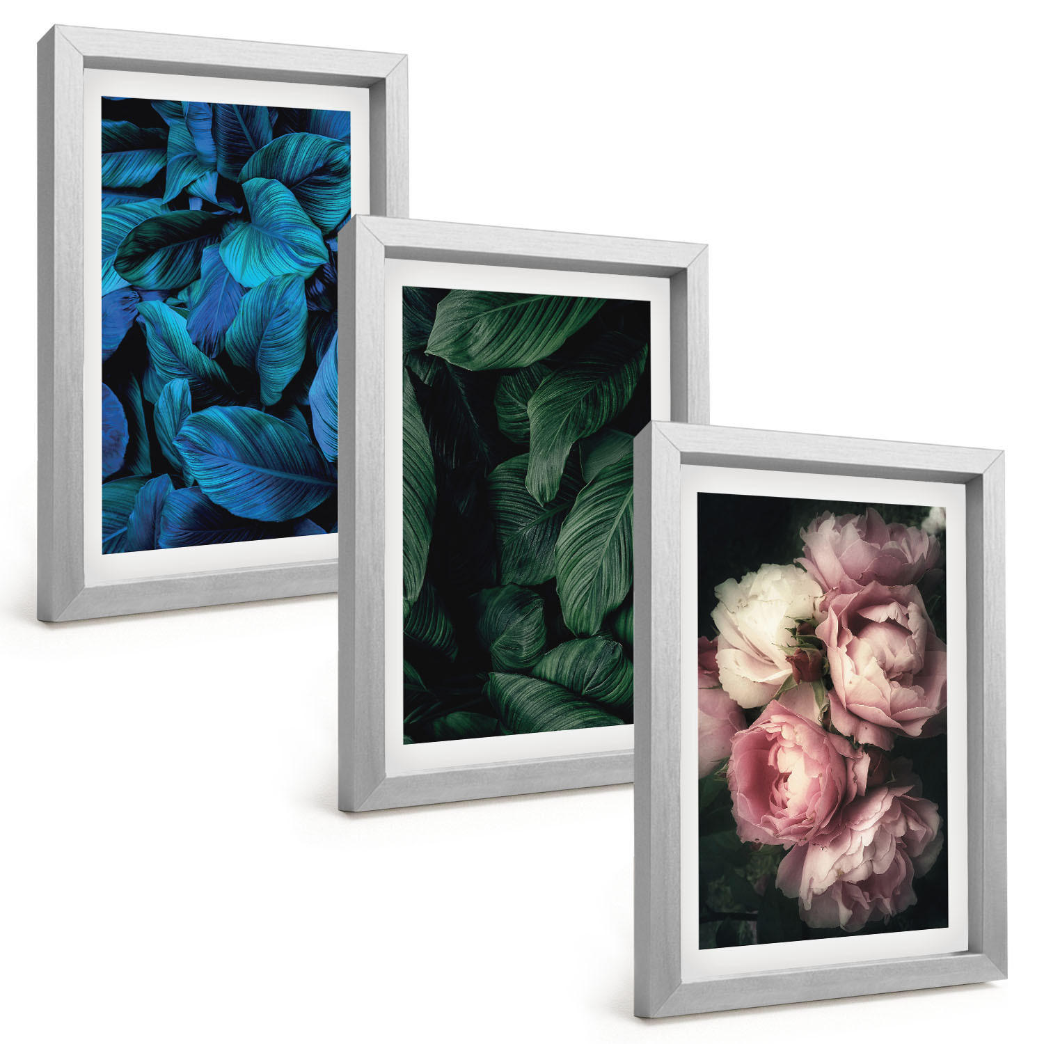 BILDER SET 3er Set - 20x30 cm Silberner Rahmen - Blätter, Blüten, verschiedene Farben - Silberfarben, Kunststoff (20/30cm) - TULUP