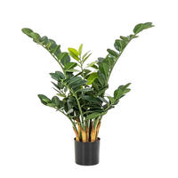 KUNSTPFLANZE Künstliche Zamioculcas - Svea 66 cm - Naturfarben, Kunststoff (66cm) - aplanta