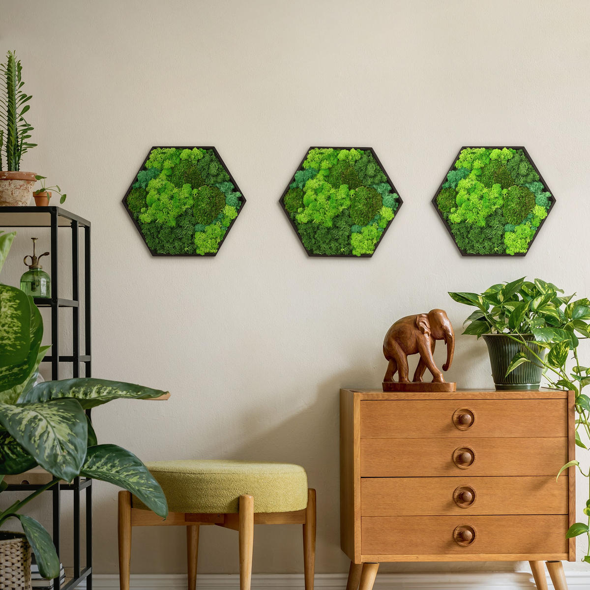 MOOSBILD Hexagon 38x34 cm Mooswand Indoor mit echtem echtem Kugelmoos-Islandmoos-Flachmoos-Mix und Holzrahmen Grün - Waldgrün, Naturmaterialien (38/34/3.4cm) - ECD-Germany